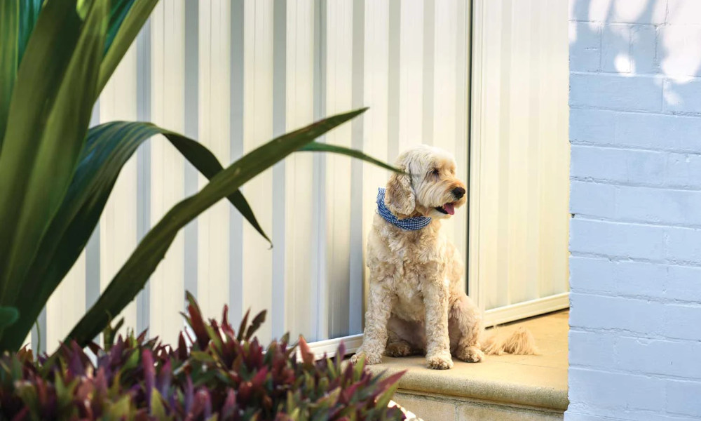 COLORBOND® steel fence