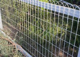 The Yellow House project by C & M Fencing