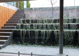 Award for Inline Pool Fencing